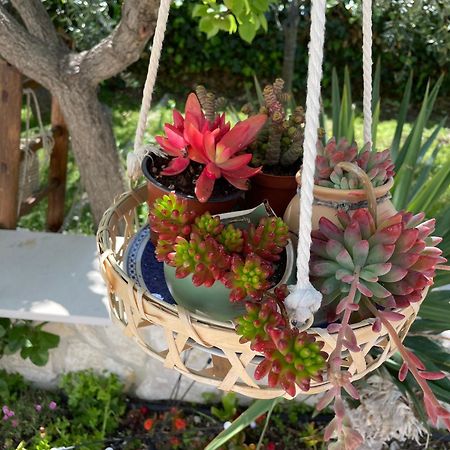 B&B Case Vacanza Orchidea Marina Di Macchia Vicino A Mattinata Gargano Monte SantʼAngelo Exterior foto