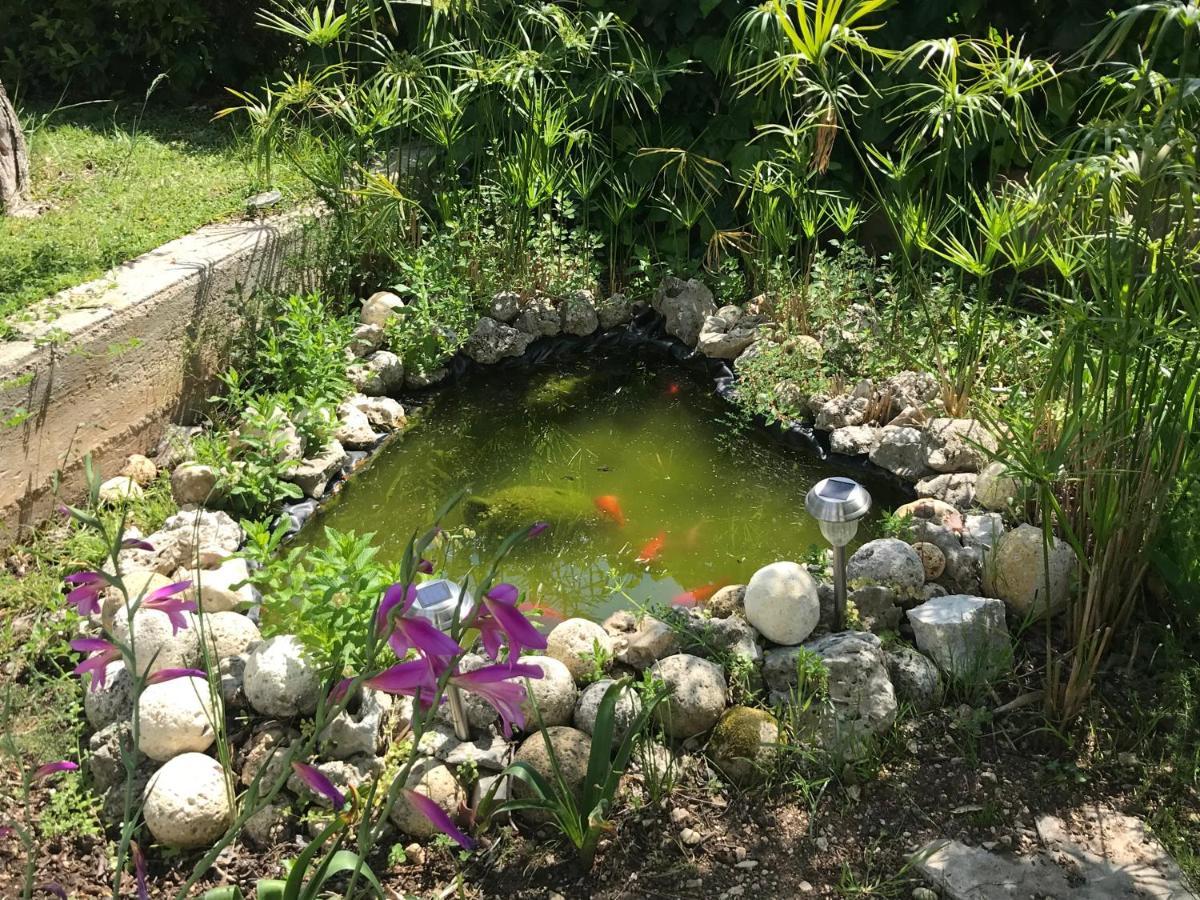 B&B Case Vacanza Orchidea Marina Di Macchia Vicino A Mattinata Gargano Monte SantʼAngelo Exterior foto
