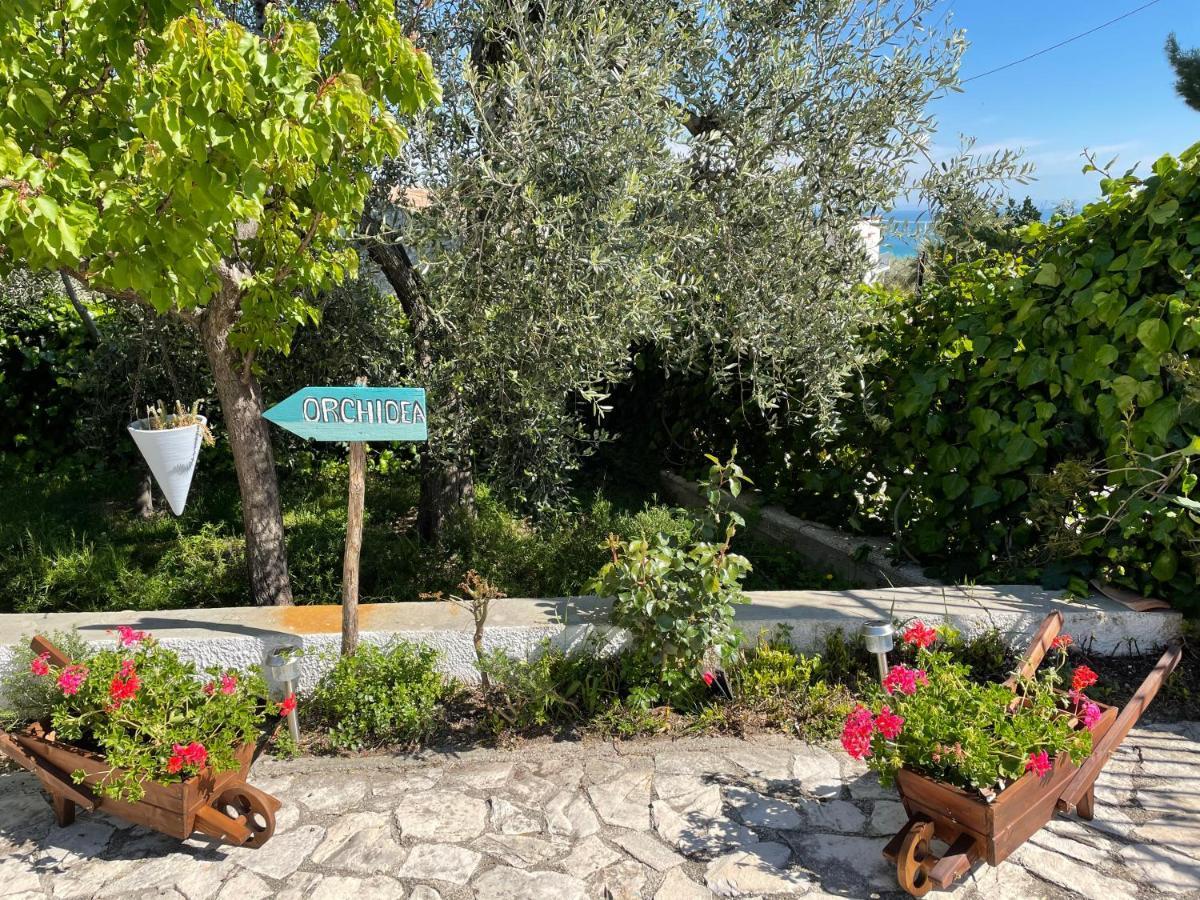 B&B Case Vacanza Orchidea Marina Di Macchia Vicino A Mattinata Gargano Monte SantʼAngelo Exterior foto