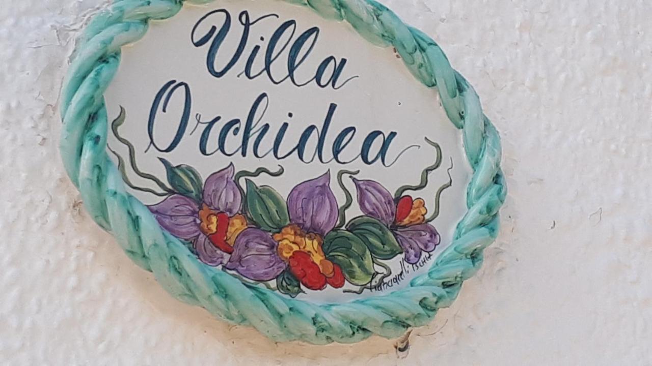 B&B Case Vacanza Orchidea Marina Di Macchia Vicino A Mattinata Gargano Monte SantʼAngelo Zimmer foto
