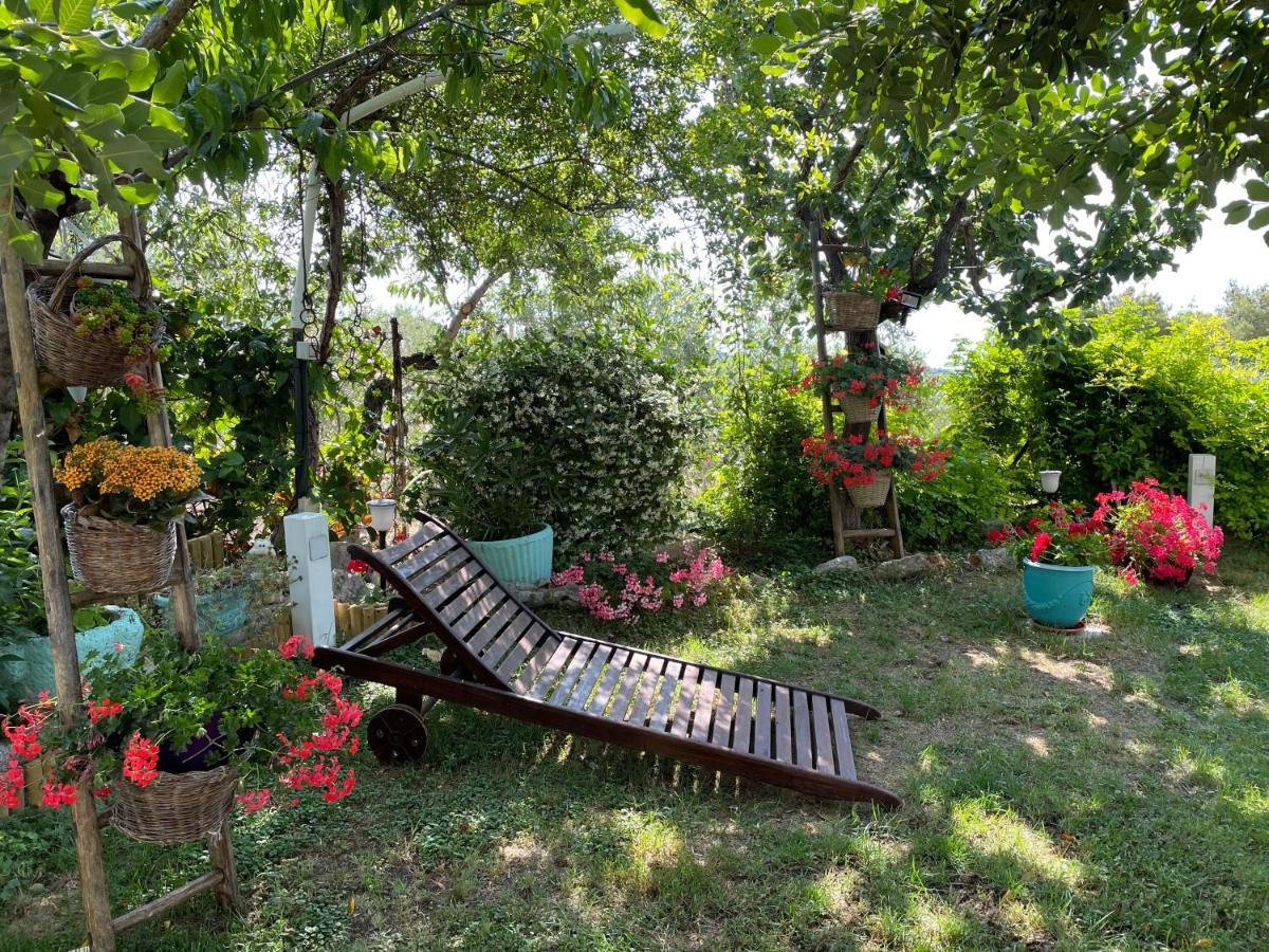 B&B Case Vacanza Orchidea Marina Di Macchia Vicino A Mattinata Gargano Monte SantʼAngelo Exterior foto