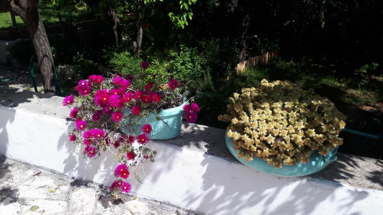 B&B Case Vacanza Orchidea Marina Di Macchia Vicino A Mattinata Gargano Monte SantʼAngelo Exterior foto