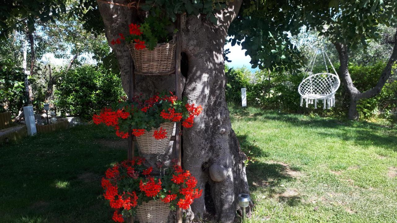 B&B Case Vacanza Orchidea Marina Di Macchia Vicino A Mattinata Gargano Monte SantʼAngelo Exterior foto