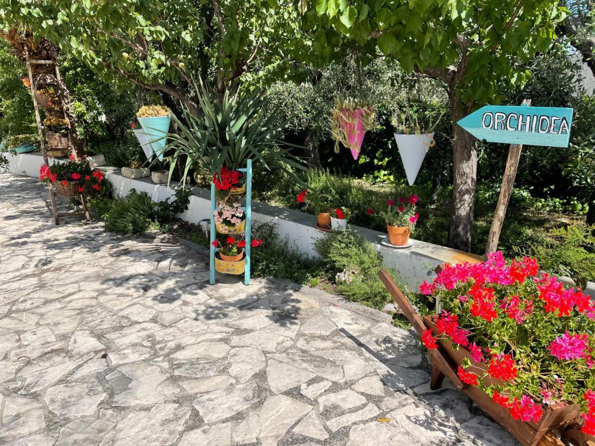 B&B Case Vacanza Orchidea Marina Di Macchia Vicino A Mattinata Gargano Monte SantʼAngelo Exterior foto