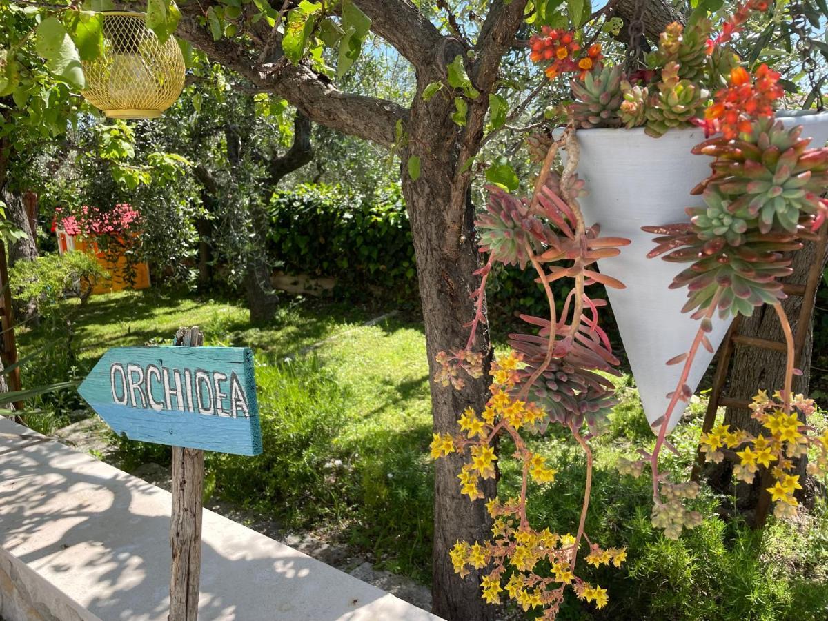 B&B Case Vacanza Orchidea Marina Di Macchia Vicino A Mattinata Gargano Monte SantʼAngelo Exterior foto