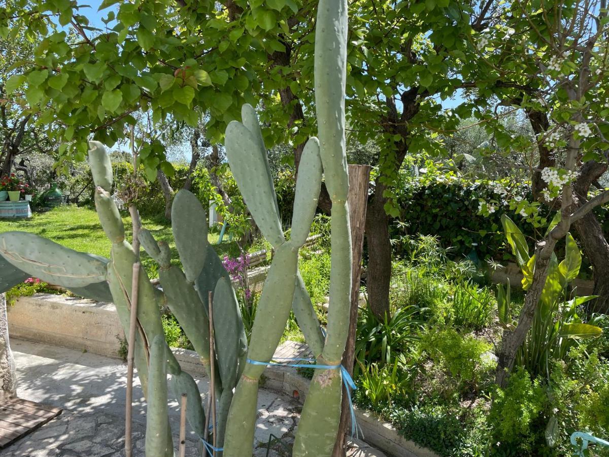 B&B Case Vacanza Orchidea Marina Di Macchia Vicino A Mattinata Gargano Monte SantʼAngelo Exterior foto