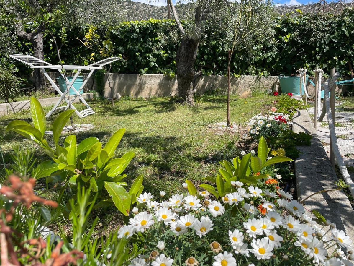 B&B Case Vacanza Orchidea Marina Di Macchia Vicino A Mattinata Gargano Monte SantʼAngelo Exterior foto