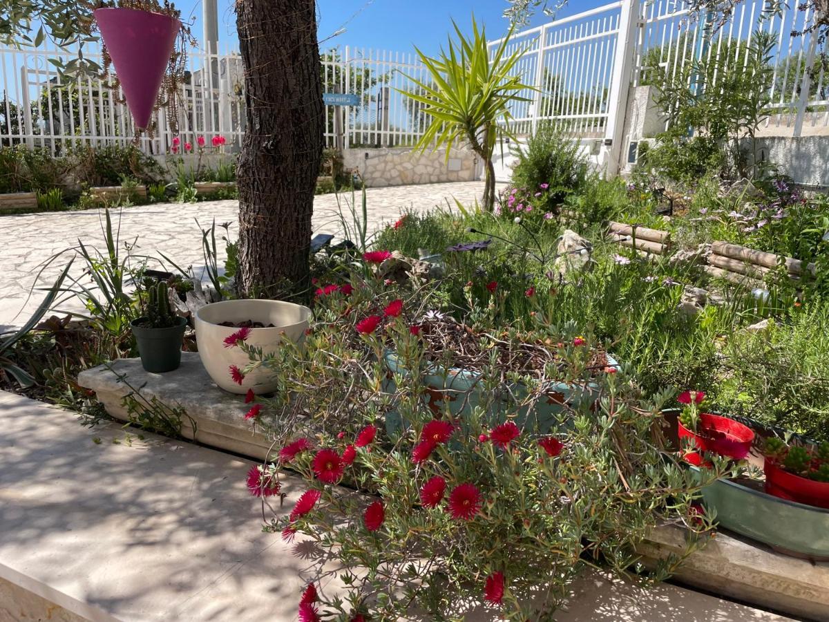 B&B Case Vacanza Orchidea Marina Di Macchia Vicino A Mattinata Gargano Monte SantʼAngelo Exterior foto