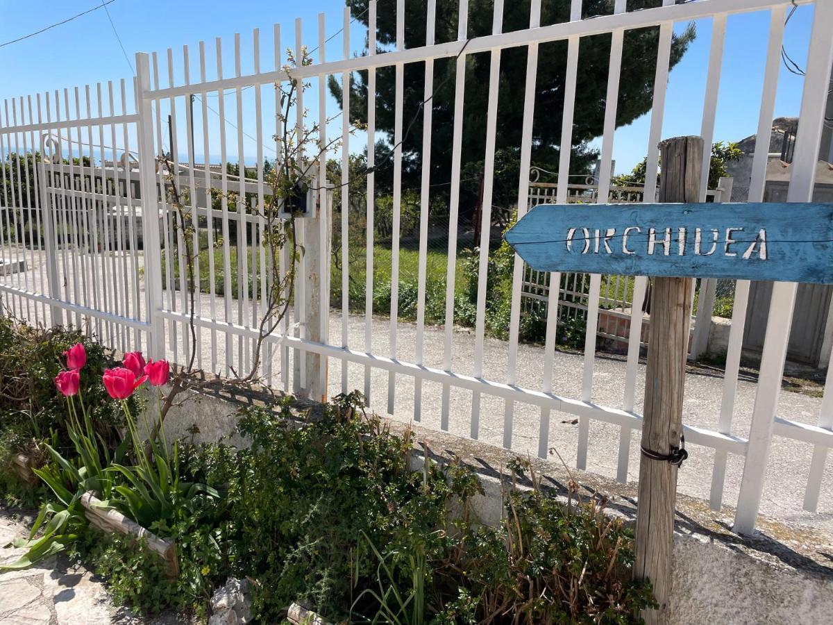 B&B Case Vacanza Orchidea Marina Di Macchia Vicino A Mattinata Gargano Monte SantʼAngelo Exterior foto