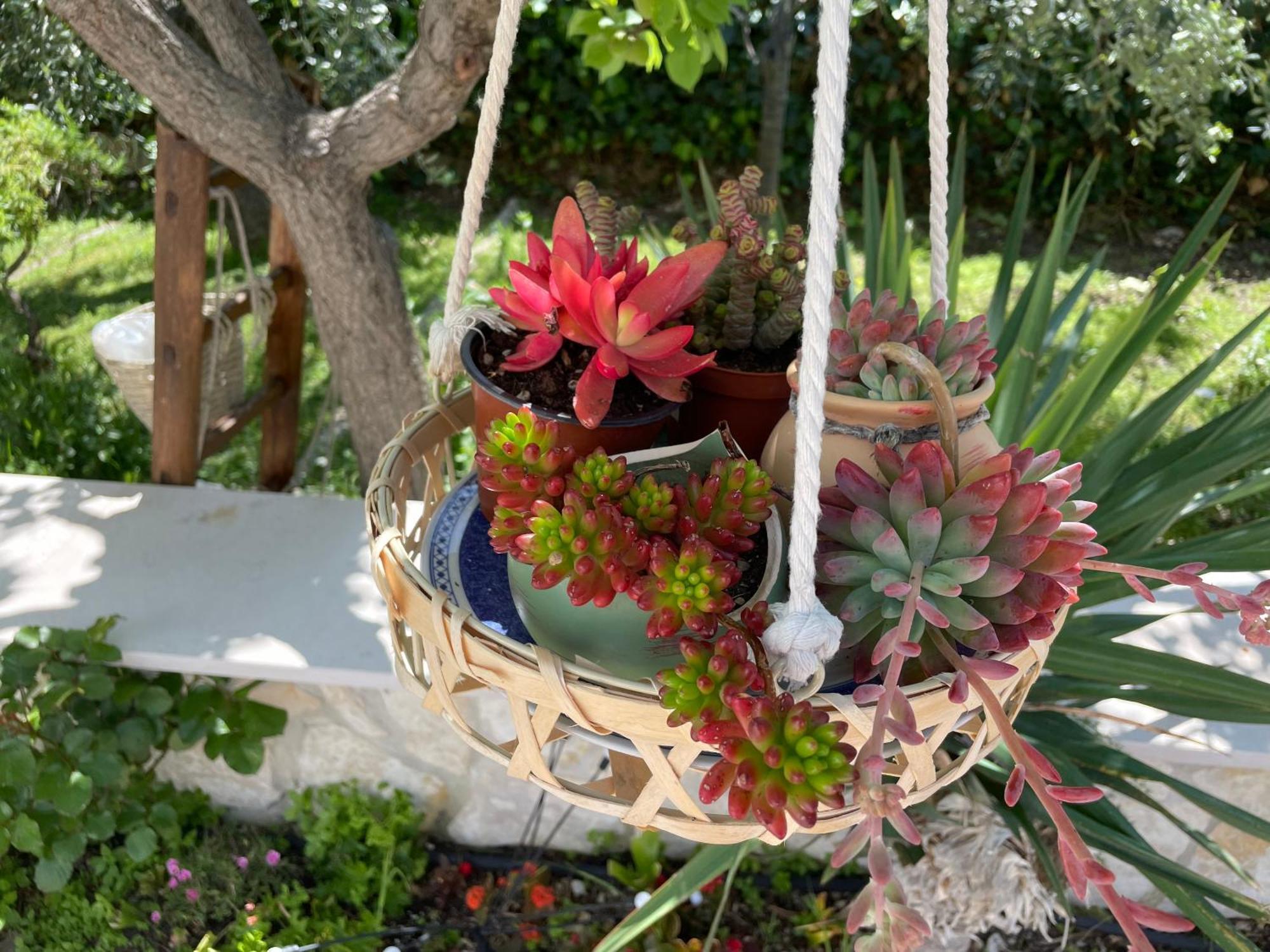 B&B Case Vacanza Orchidea Marina Di Macchia Vicino A Mattinata Gargano Monte SantʼAngelo Exterior foto