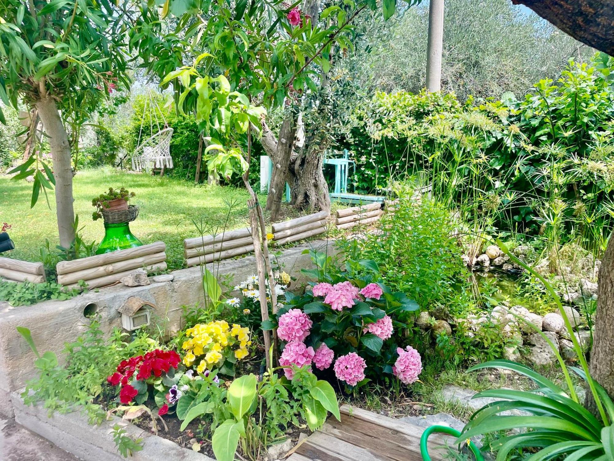 B&B Case Vacanza Orchidea Marina Di Macchia Vicino A Mattinata Gargano Monte SantʼAngelo Exterior foto