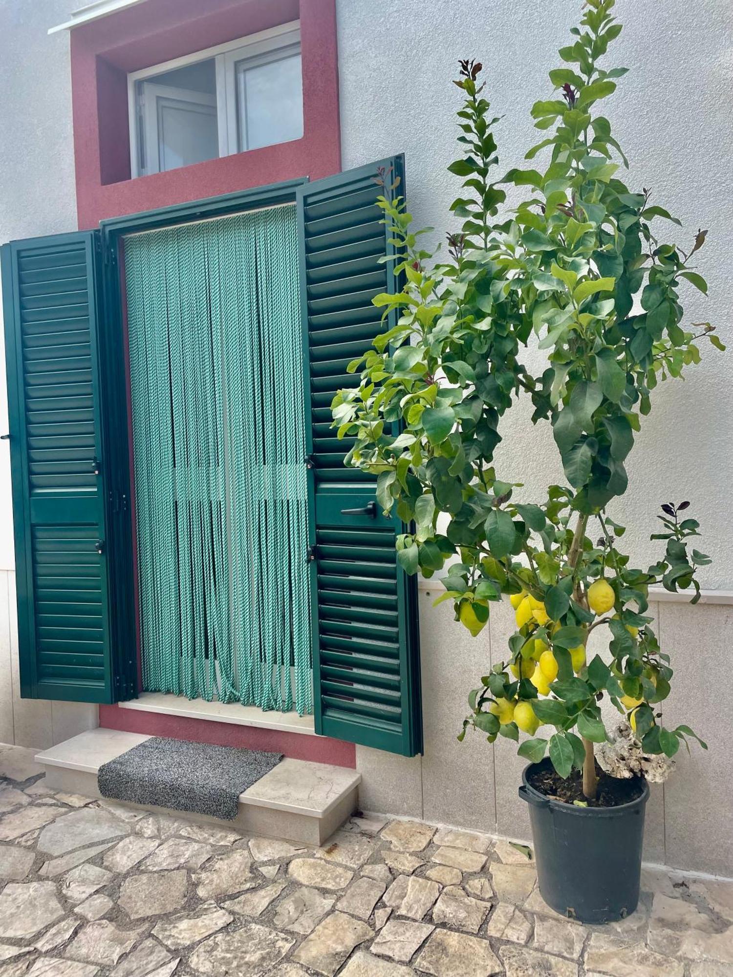 B&B Case Vacanza Orchidea Marina Di Macchia Vicino A Mattinata Gargano Monte SantʼAngelo Exterior foto