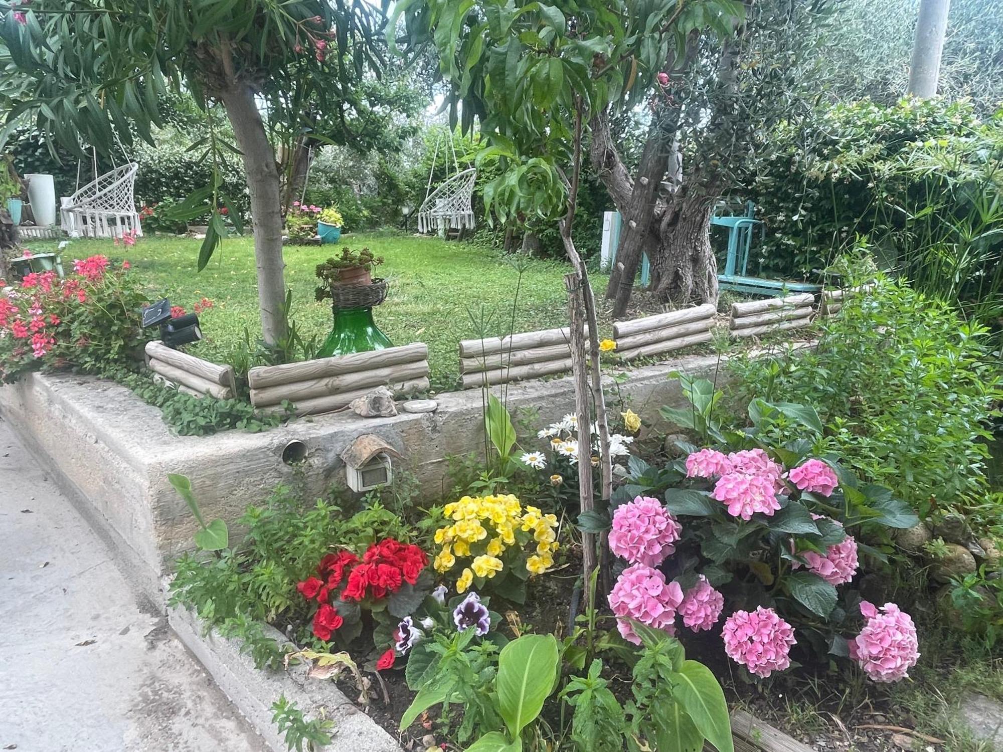 B&B Case Vacanza Orchidea Marina Di Macchia Vicino A Mattinata Gargano Monte SantʼAngelo Exterior foto