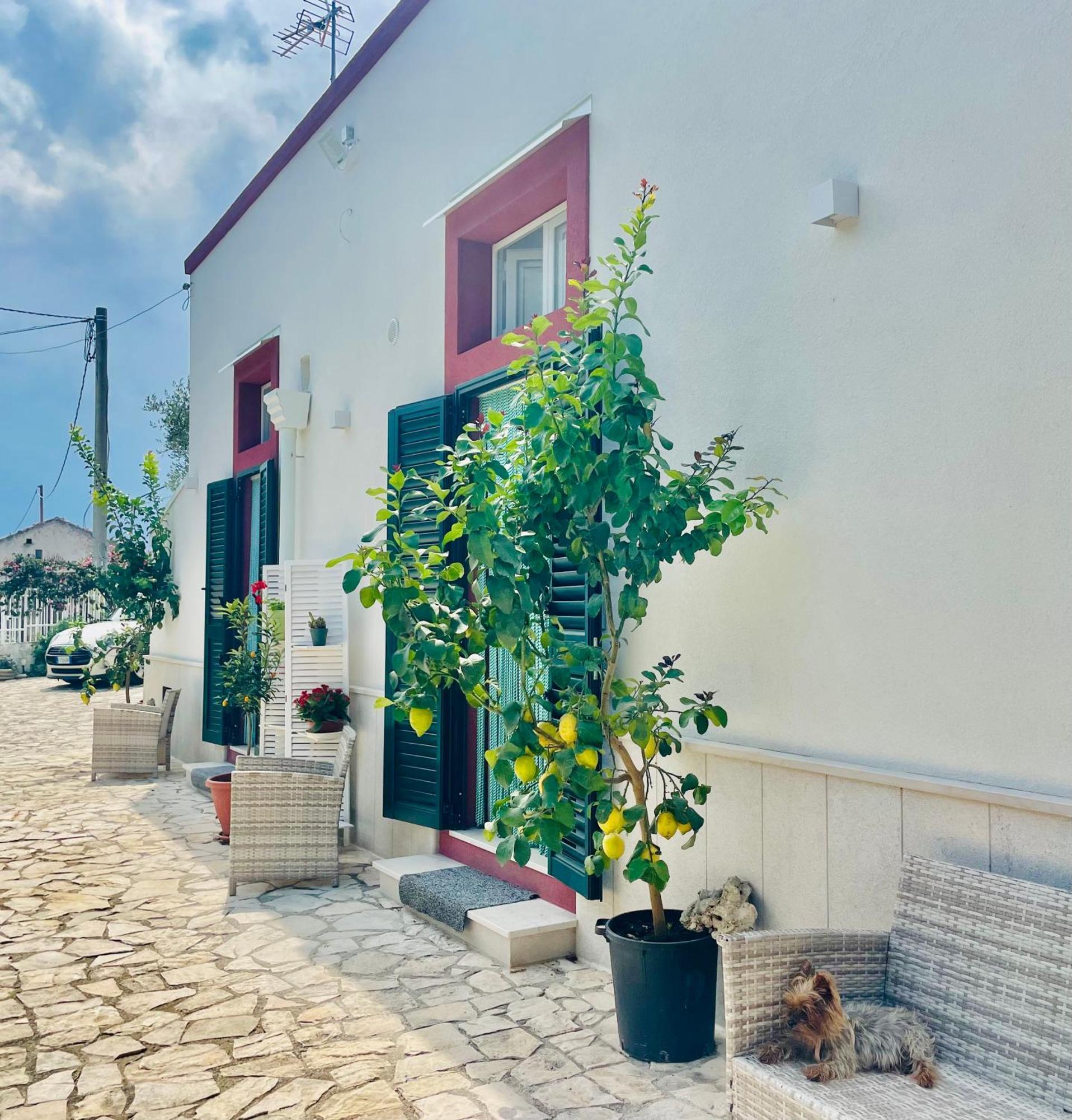 B&B Case Vacanza Orchidea Marina Di Macchia Vicino A Mattinata Gargano Monte SantʼAngelo Exterior foto