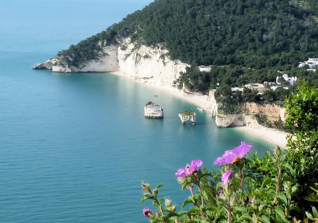 B&B Case Vacanza Orchidea Marina Di Macchia Vicino A Mattinata Gargano Monte SantʼAngelo Exterior foto