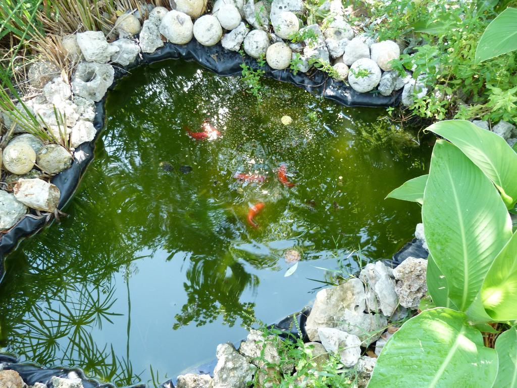 B&B Case Vacanza Orchidea Marina Di Macchia Vicino A Mattinata Gargano Monte SantʼAngelo Exterior foto